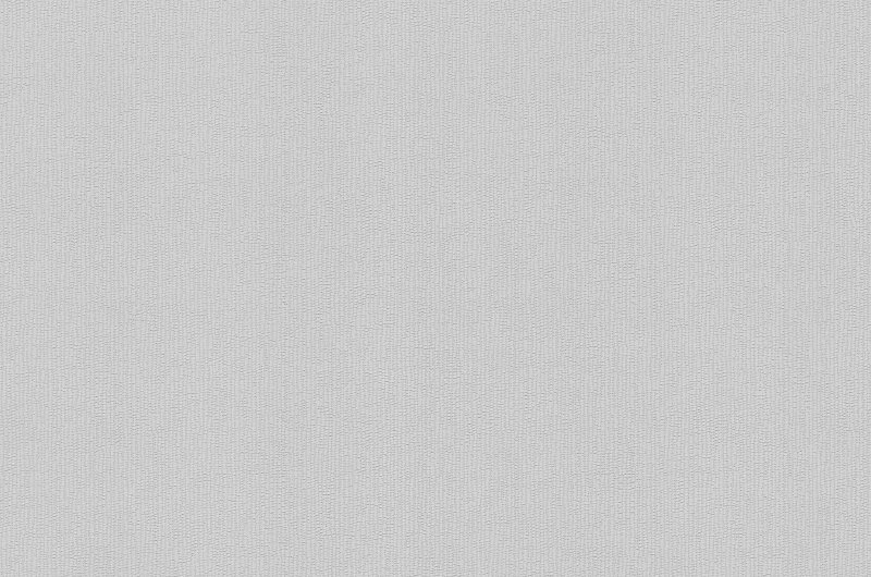 Обои Rasch Wallton 181517