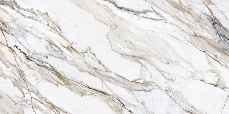 Calacatta Paonazzo Polished 120х120х12