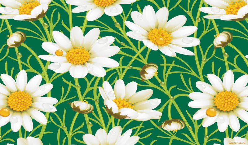 Ромашки узор