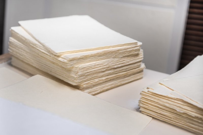 Бумага из древесины