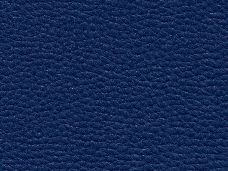 Кожа натуральная Evolution 1090