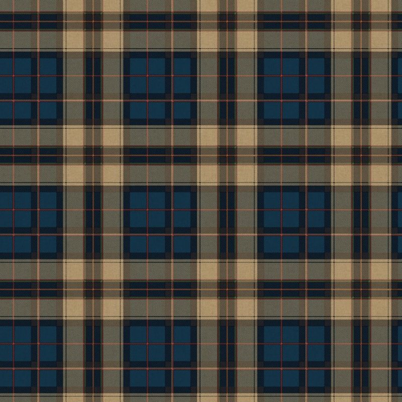 Ткань в клетку текстура