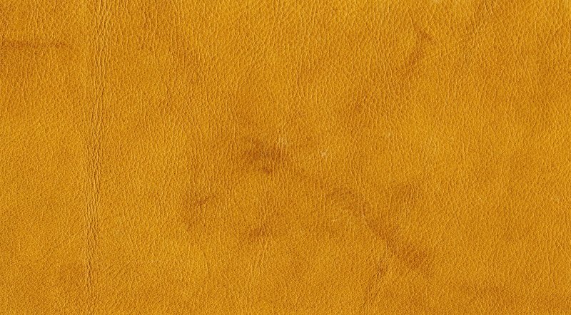 Текстура кожи