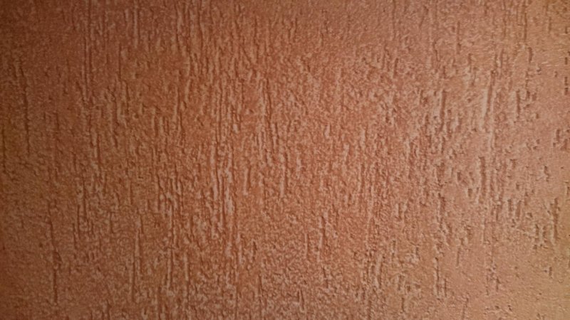 LITOTHERM grafica короед