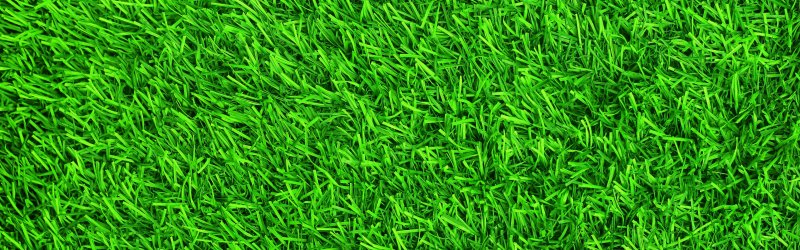 Зеленый газон