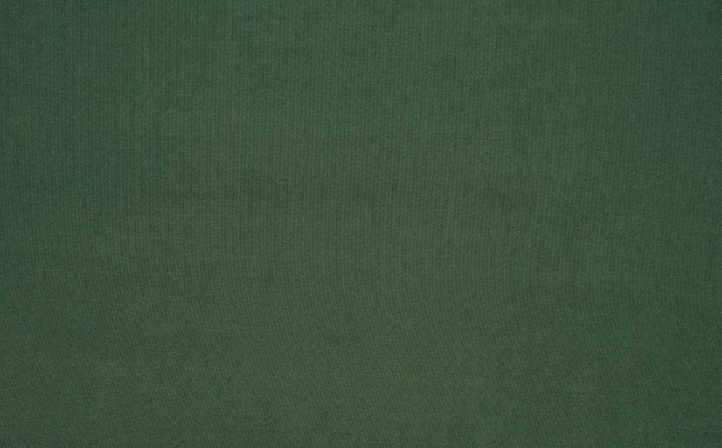 Болотный цвет acb78e