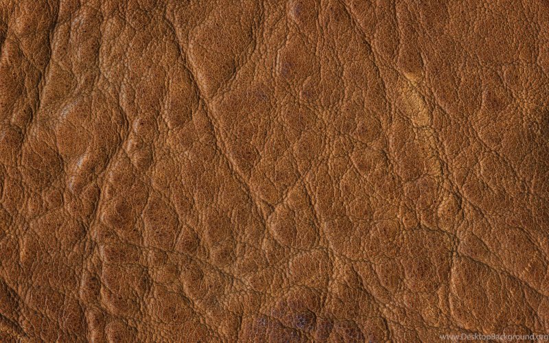 Текстура кожи