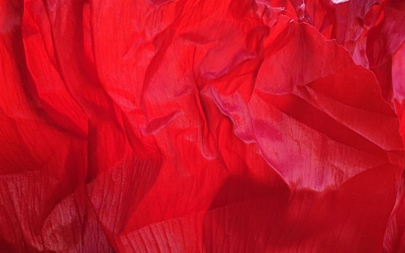 Красная бумага