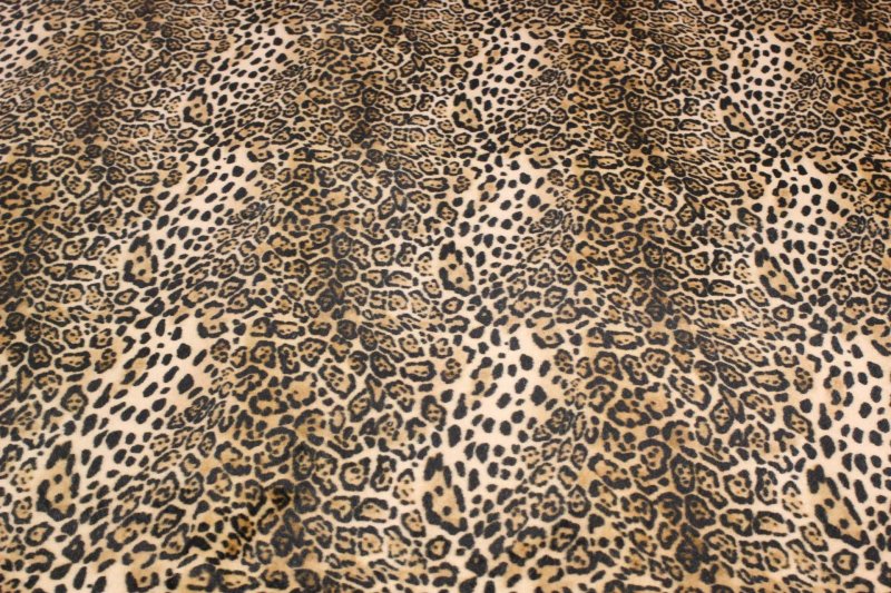 Леопардовая шкура