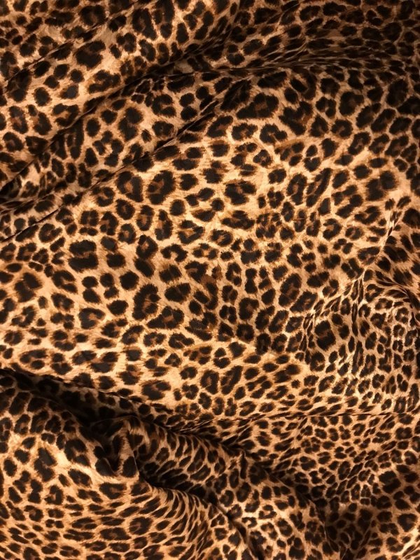 Леопард приннт