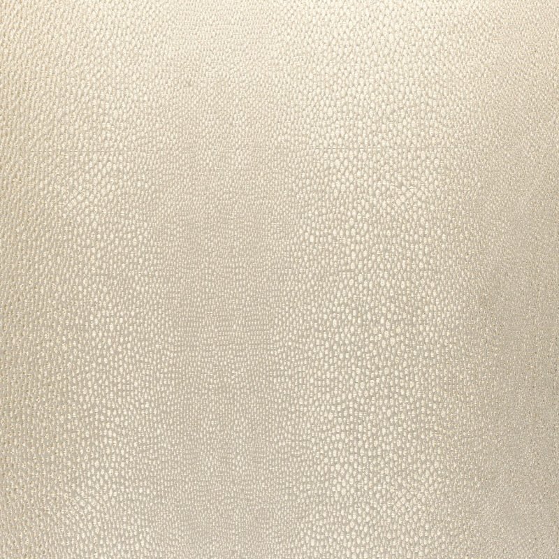 Шампань матовая цвет