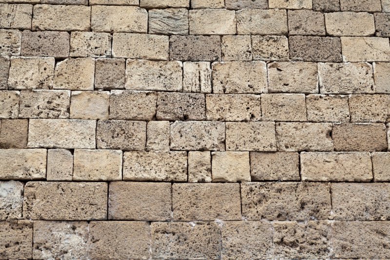 Песчаник ракушечник