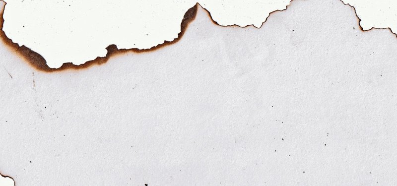 Рваная бумага