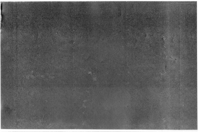 Текстура пленки