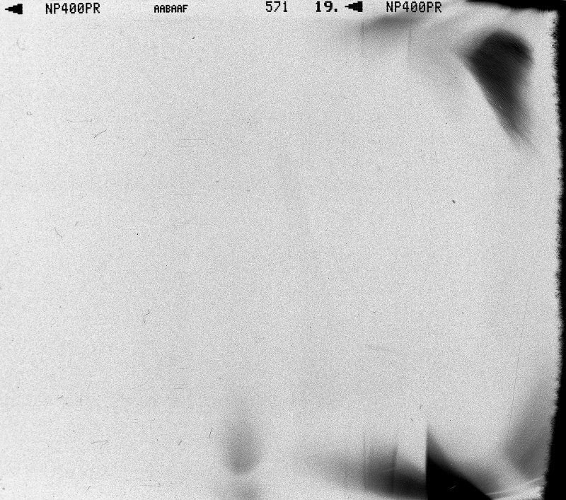 Текстура полароидного снимка