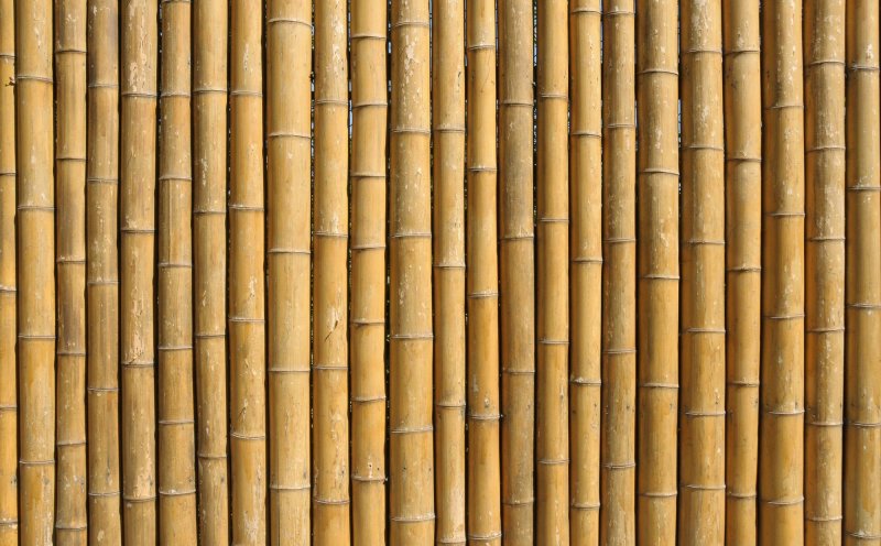 Бамбук фактура