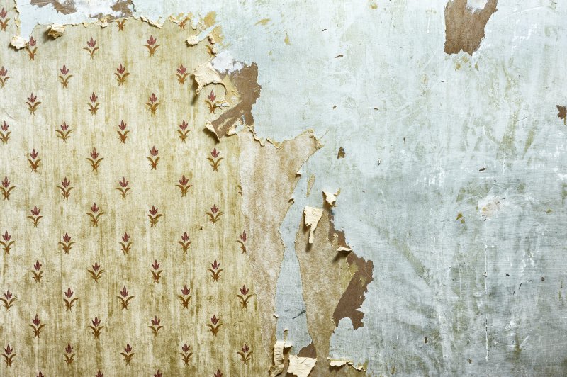 Обои на стену