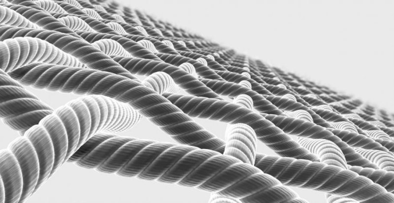 Волокна одежды под микроскопом