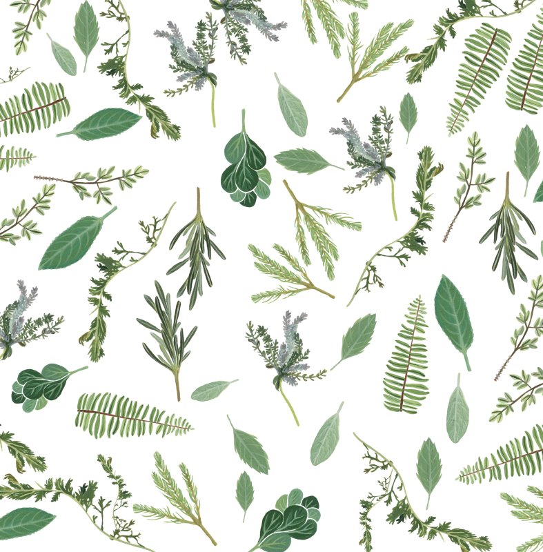 Орнамент растения