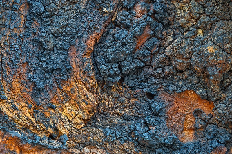 Текстура обгорелой древесины
