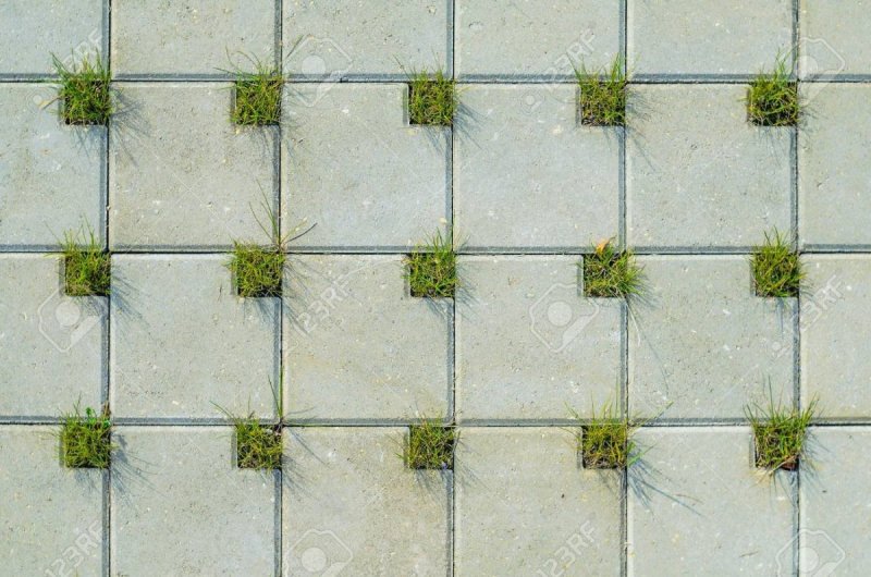 Текстура брусчатки с травой