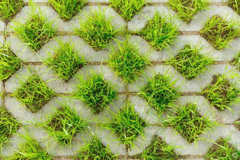 Георешетка газонная (экопарковка)