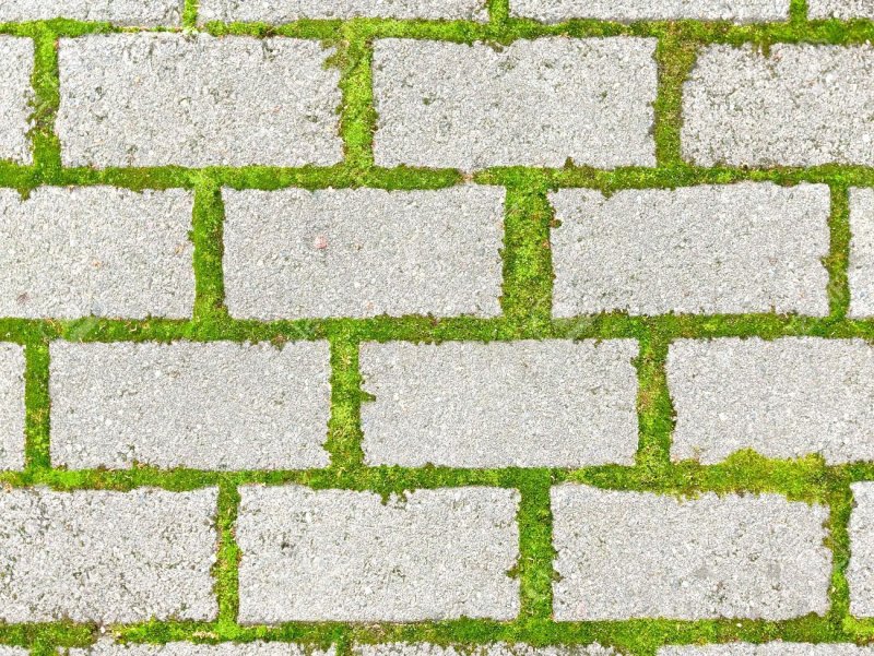 Плитка с травой текстура