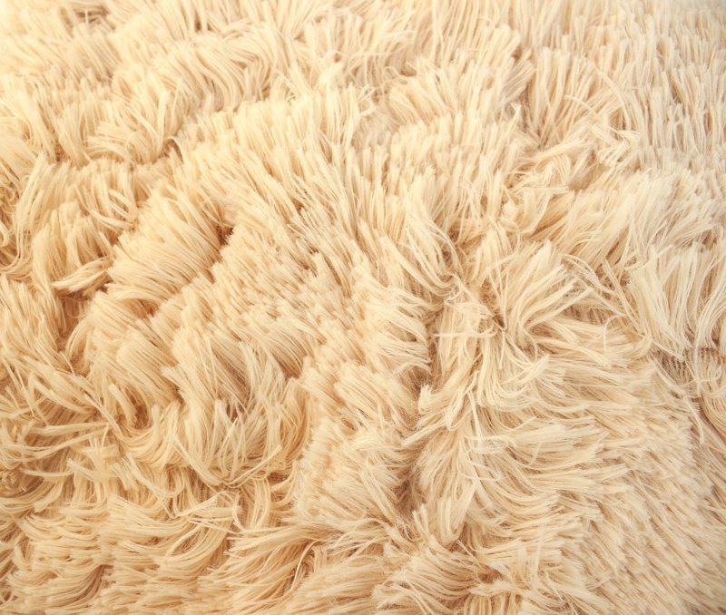 Бежевая шерсть