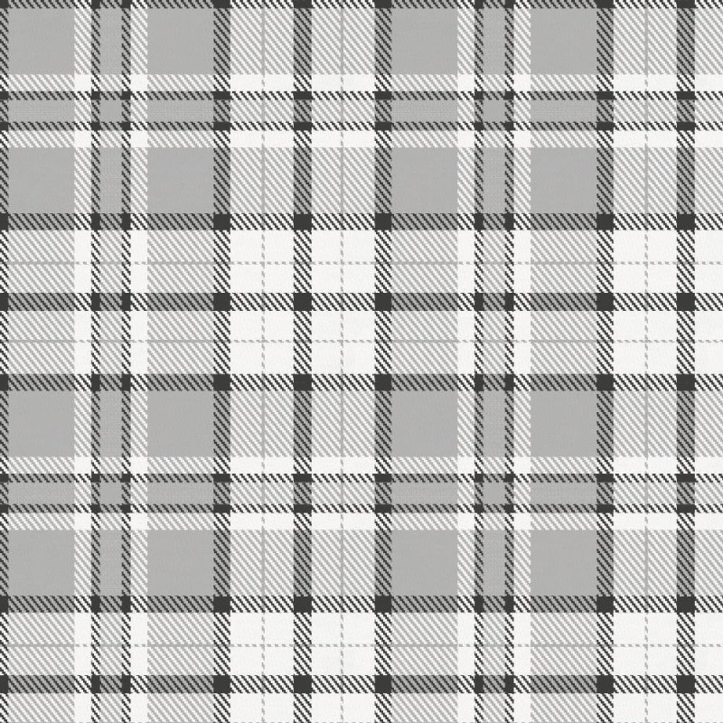 Тартан принц Уэльский