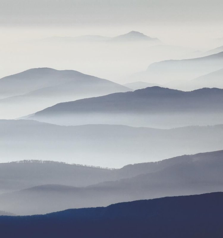 Холмы в тумане