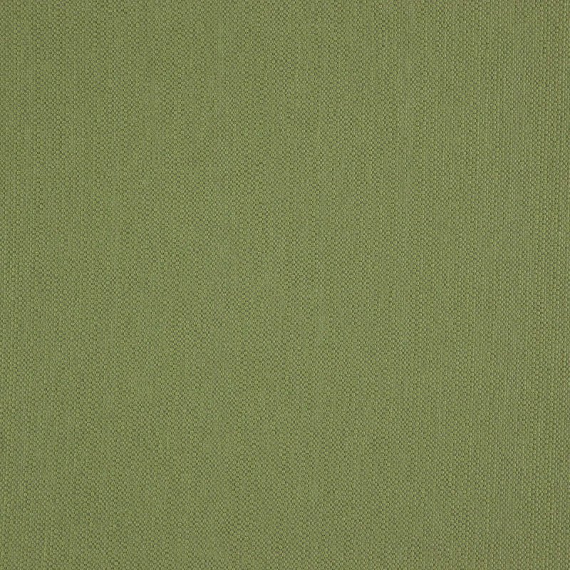 Болотный цвет фон