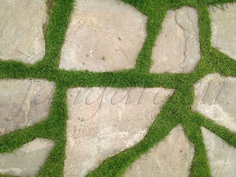 Дорожка плитка вид сверху