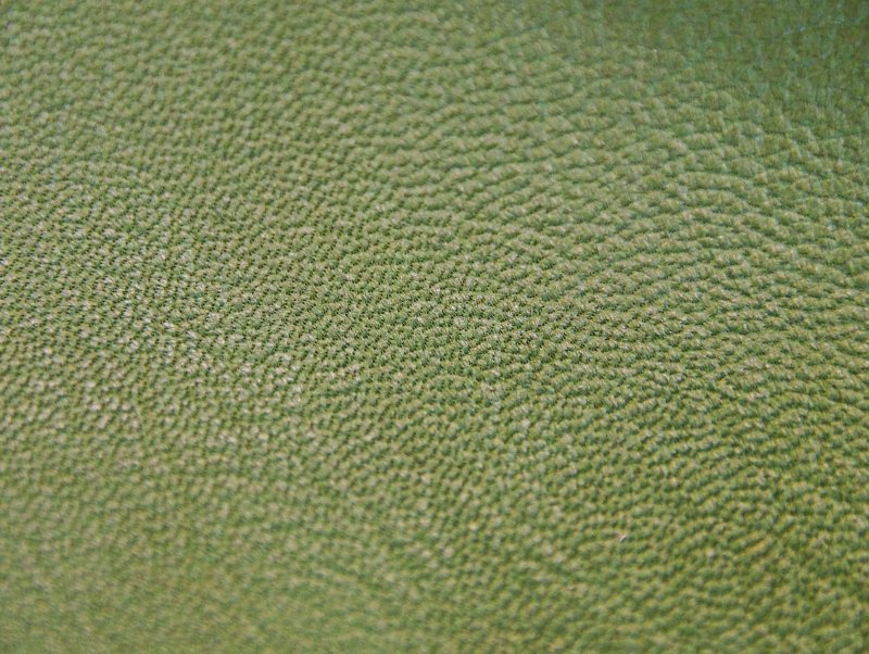 Зеленая кожа