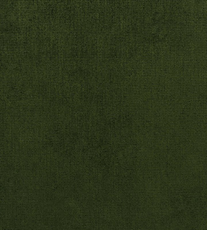 Болотный зеленый ткань