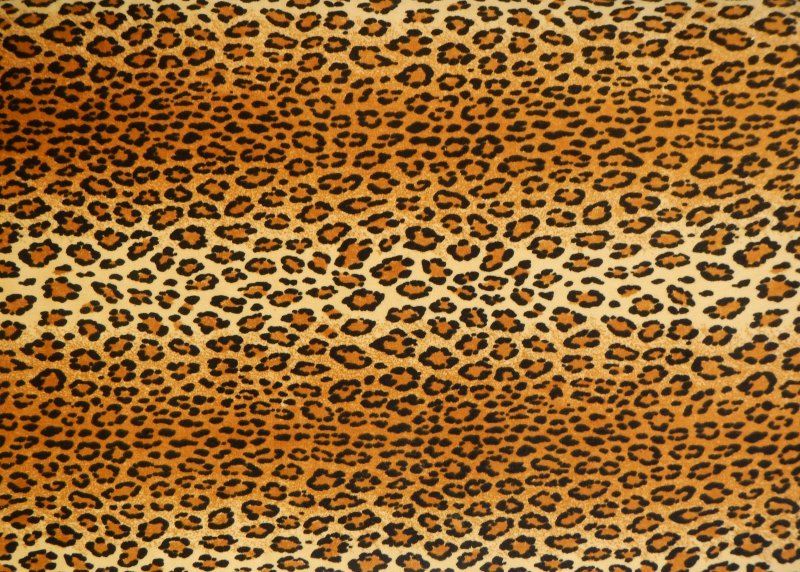 Кожа леопарда
