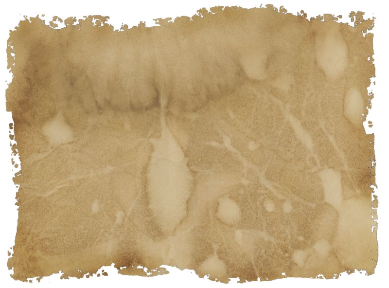 Рваный край бумаги