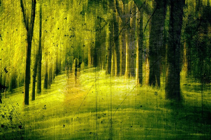 Фактура природы