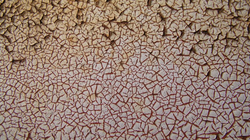 Обои фактура