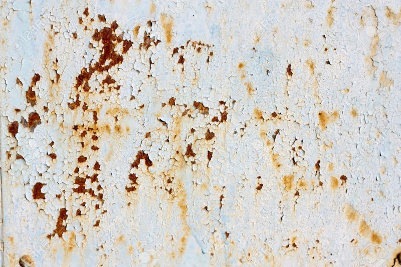 Белая ржавчина