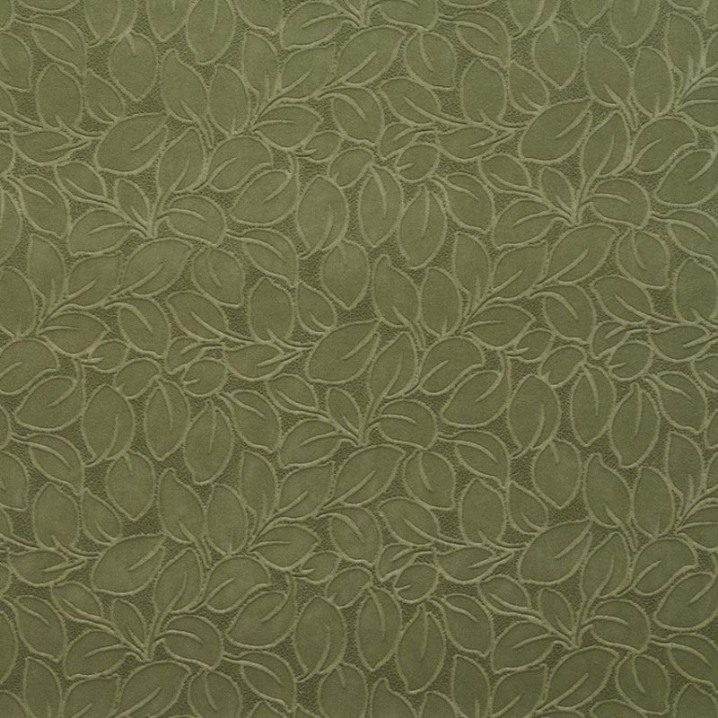 Текстура ткани оливкового цвета