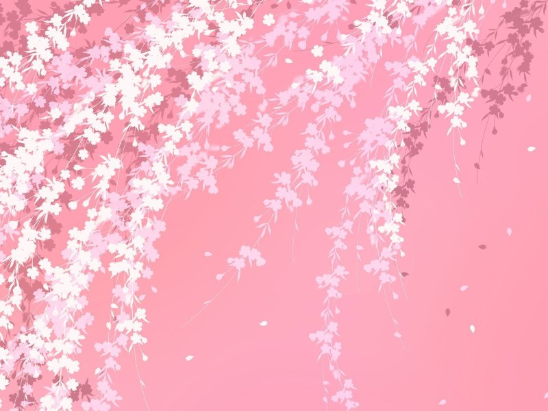 Розовые цветы фон