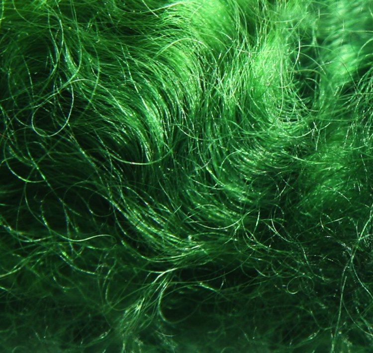 Зеленая шерсть