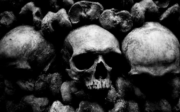 Череп на черном фоне