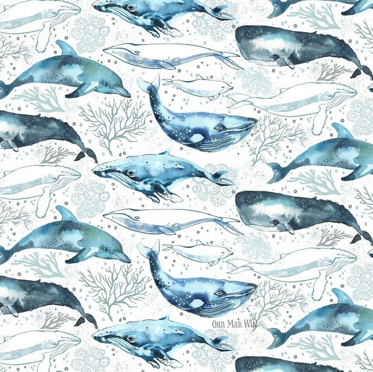 Паттерн киты