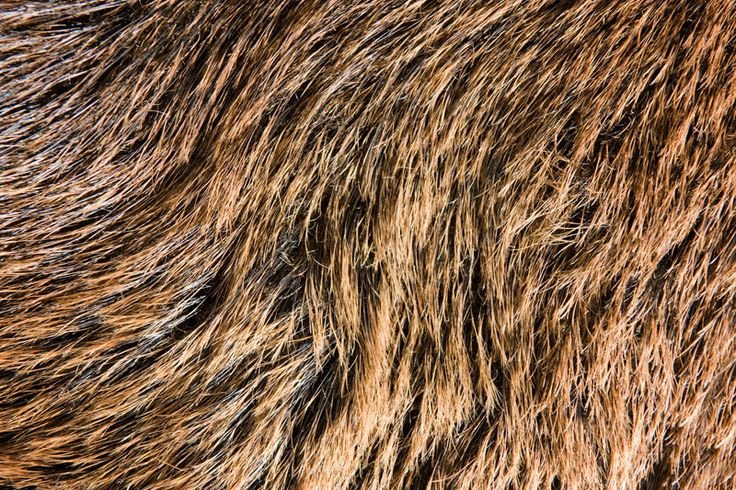 Коричневый мех