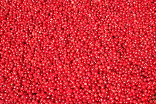 Клубника текстура