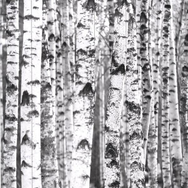 Арслан Birch