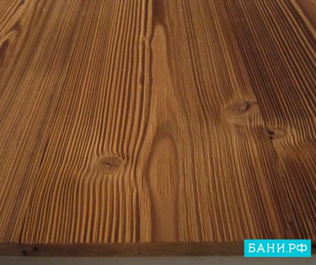 Новозеландская термососна Pino Premio