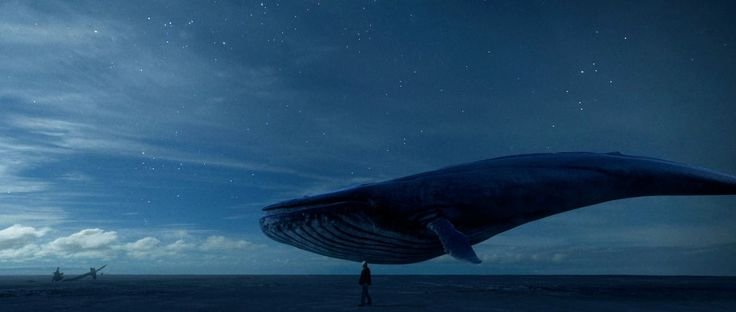 Китообразные синий кит