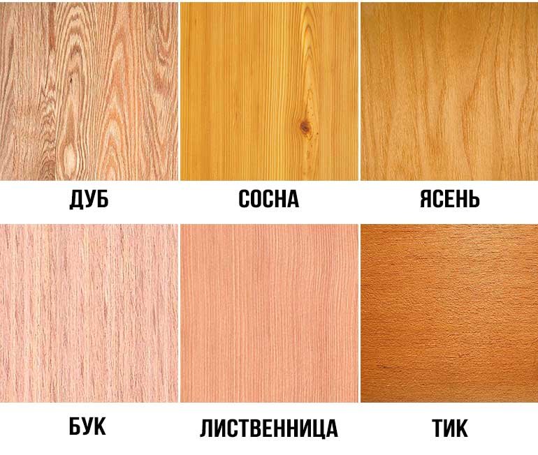 Бук цвет дерева